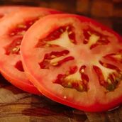 Tomato