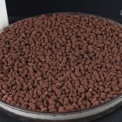 Corn Choco Habat Ahmed Al Zamil F 17783