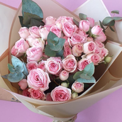 Expo Baby Rose Pink