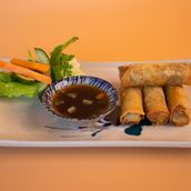Vegetable Fried Spring Rolls