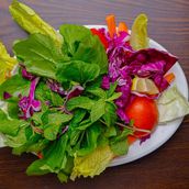 Small Vegetable Plate 