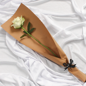 White Rose ( Light Brown)