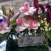 Tray With Pink Colours