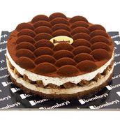 Tiramisu Cake