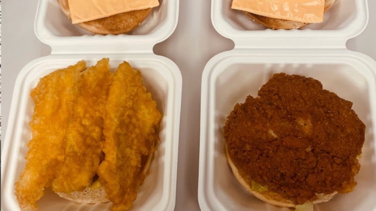Chicken Fillet