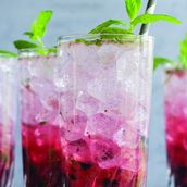 Mixed Berry Mojito