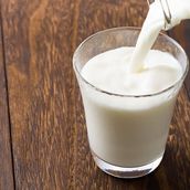 Hot Milk
