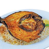 Seabream fish