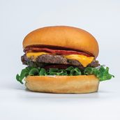 Italian Burger