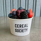 Acai Ice Cream 