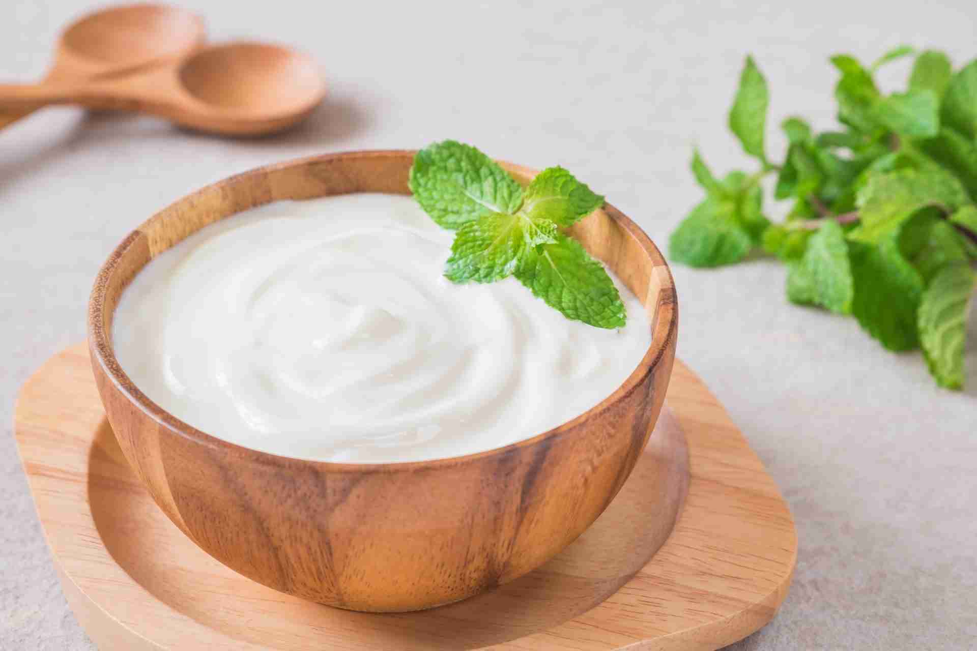 Plain Yogurt