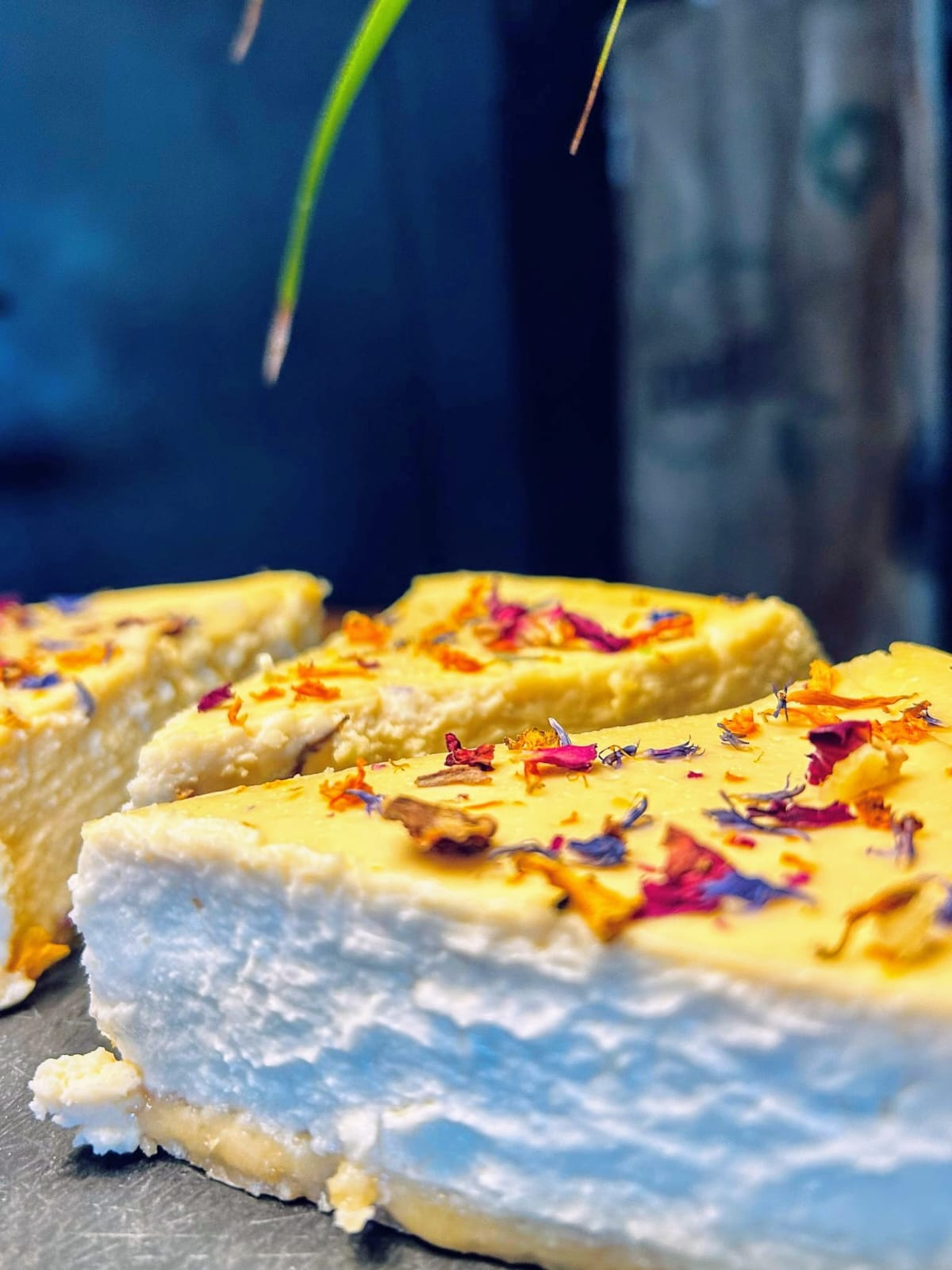New York Cheesecake