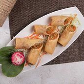 Chicken Spring Roll