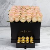 Rose Radiance