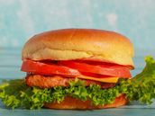 Grilled Chicken Burger