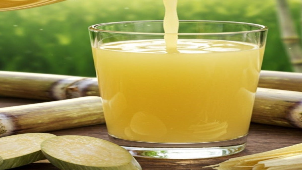 Sugarcane