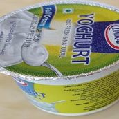 Yogurt