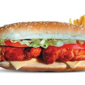 Chicken Tikka Combo
