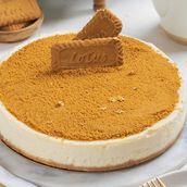Biscoff Bliss Cheese Cake