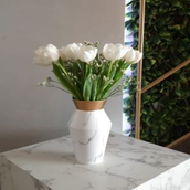 LR Tulip
