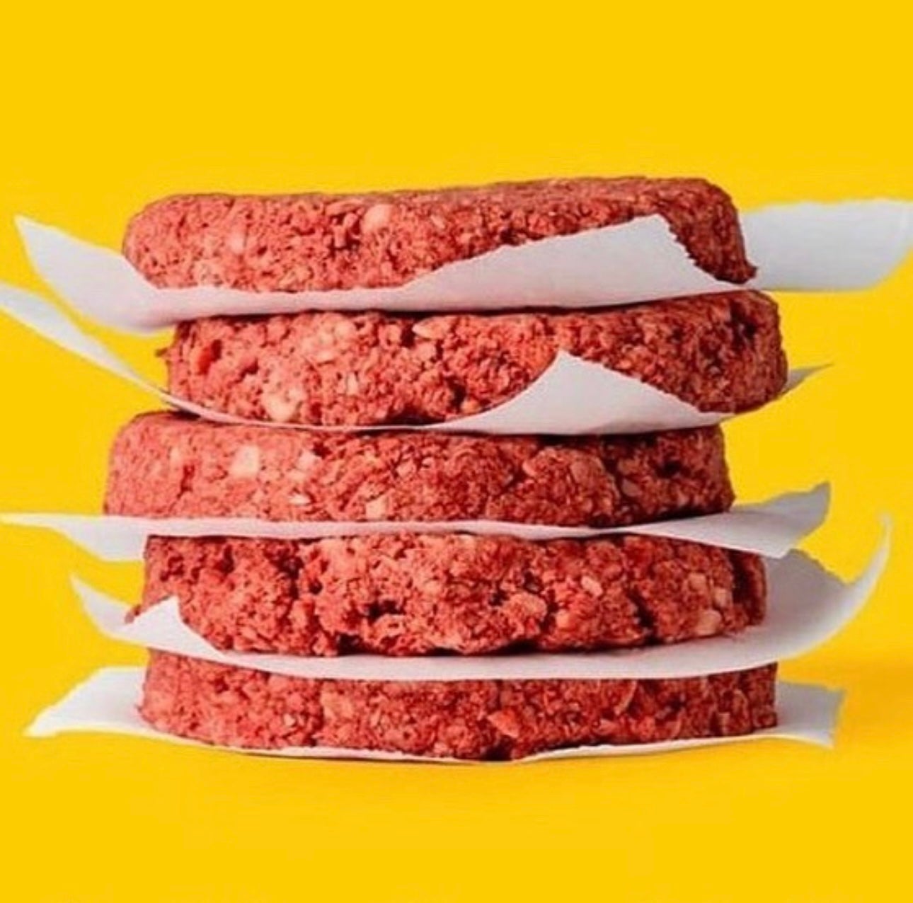 Hand Made Beef Burger Meal