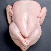 Organic Chicken