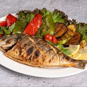 Fish Sea Bream