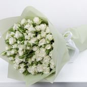 Baby Roses White SS