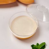 Mango Pudding