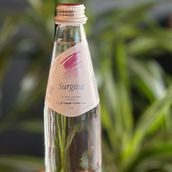 Surgiva(Sparkling Water)