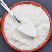 Plain Curd