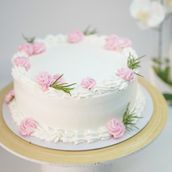 Vanilla Mousse Cake