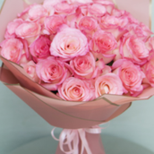 Candy Pink