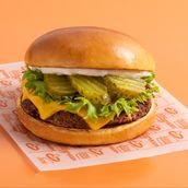 Single Cheese Burger