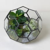 Round Geometric Terrarium