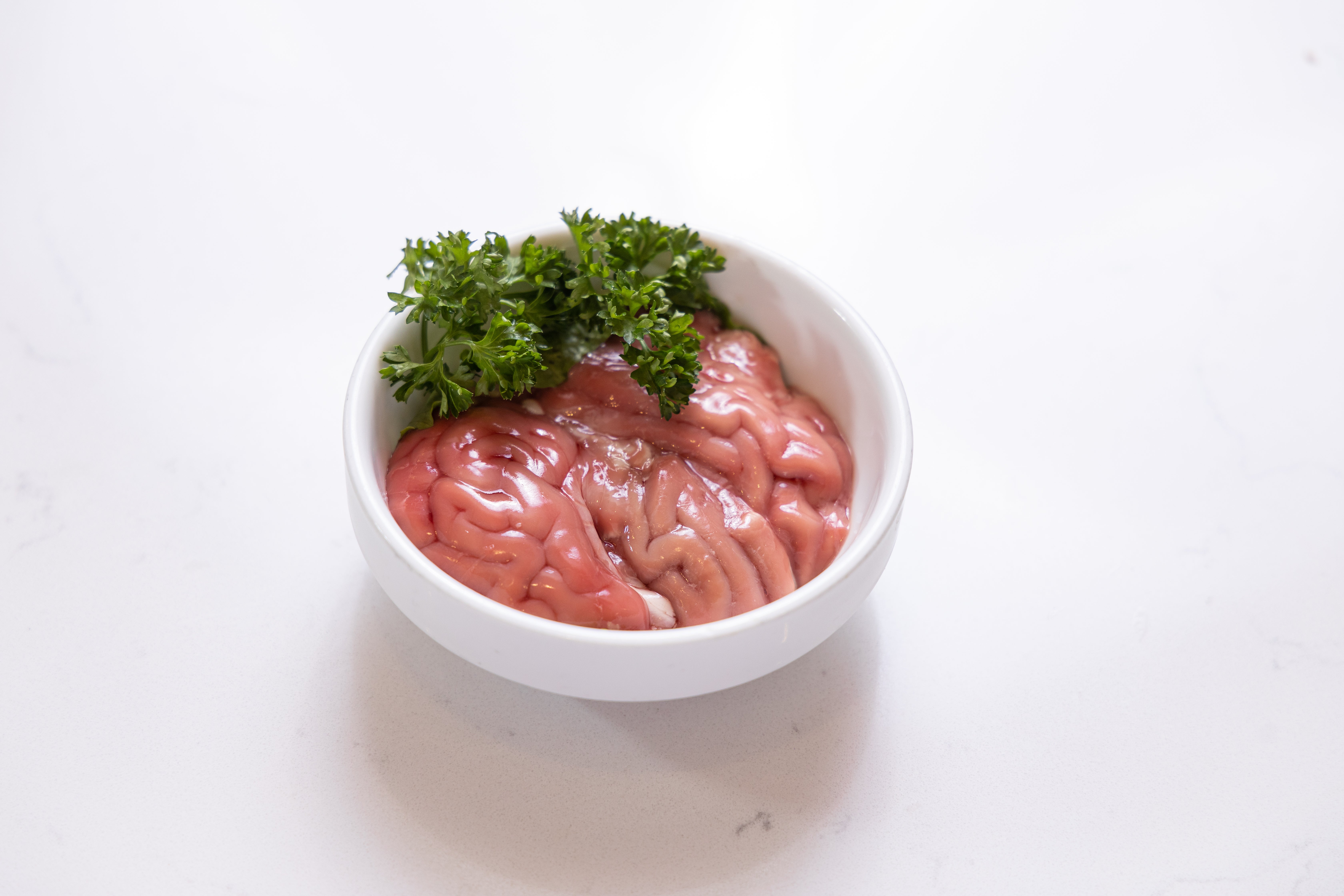 Fresh Pig Brains 猪脑