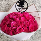 20 Fuchsia English Graduation Sticks