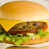 Vegetable Burger