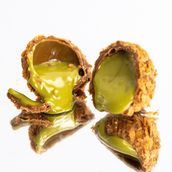 PISTACHIO BITES 2PCS PACK