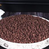 Corn Choco (Habat Ahmed Al Zamil) F-17766