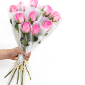 Pink Roses Distributions