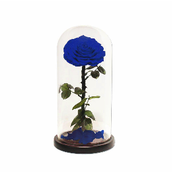 Infinity Blue Rose
