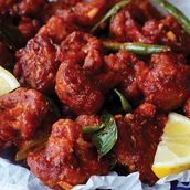 Gobi 65