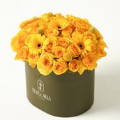 Bumblebee Box