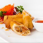 Vegetable Spring Roll