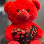 Teddy Bear Red 