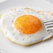 Egg