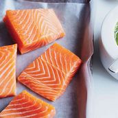 Salmon 
