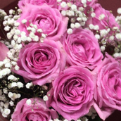 Dark Pink Roses With Pink Colour Ribbon With Flowers