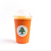 Carrot 